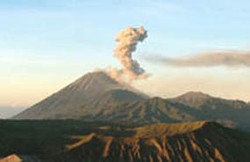 Mahasiswa UGM yang Tersesat di Gunung Arjuna Dipulangkan